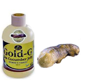 jelly-gamat-gold-sea-cucumber-300x285